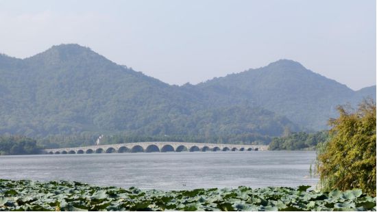 “美丽长三角”采风金山融媒记者带你走进…(图4)